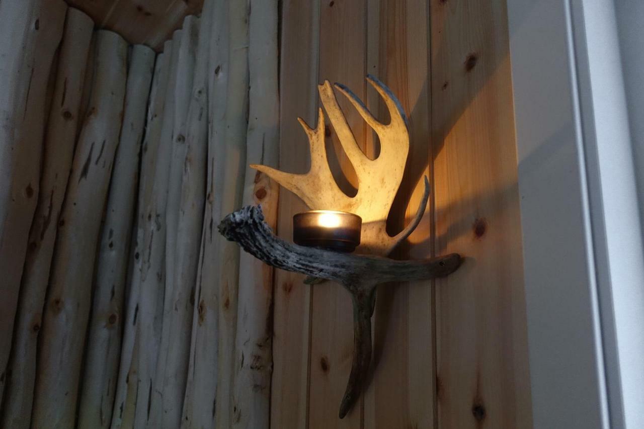 Wild Caribou'S Wildwood Cabin Lakselv Ngoại thất bức ảnh